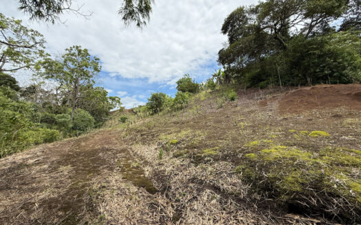 Venta de Finca de 104.371 m², Ideal para Agricultura y Ecoturismo por sus Vistas Panorámicas en Moravia COD 134939