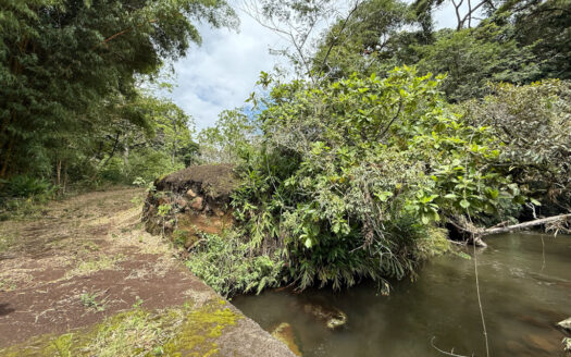 Venta de Finca de 104.371 m², Ideal para Agricultura y Ecoturismo por sus Vistas Panorámicas en Moravia COD 134939