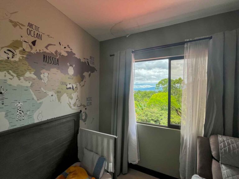 Imagen 10