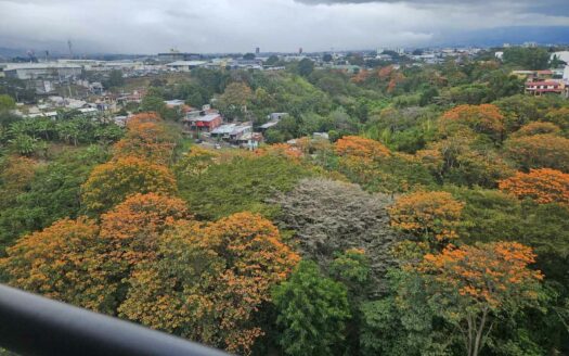 Apartamento en alquiler en Sabana, piso 14 con vistas panorámicas COD#137610