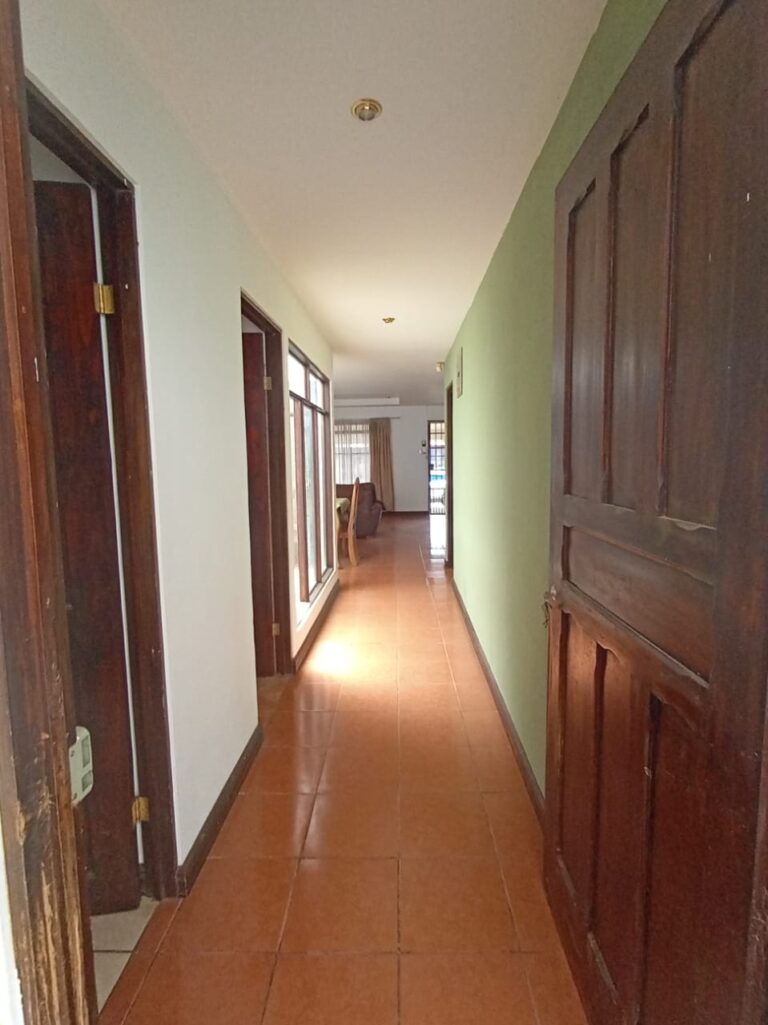 Imagen 22