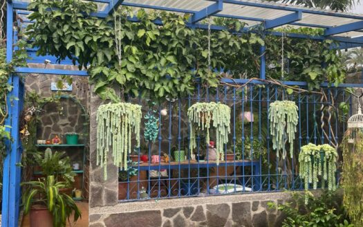 Preciosa y amplia Casa con apartamento independiente en Escazú a solo 800 m de Multiplaza Cód 138556