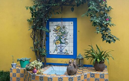 Preciosa y amplia Casa con apartamento independiente en Escazú a solo 800 m de Multiplaza Cód 138556