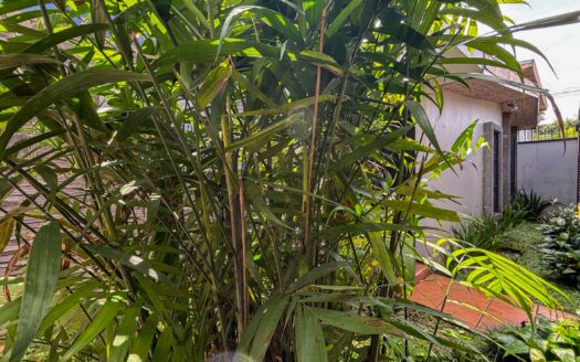 🏡 Venta de Casa en 1 Planta – Uso de Suelo Mixto – Montes de Oca, cerca de la UCR cod.139304