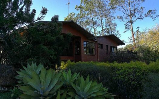 ¡OPORTUNIDAD! Hermosa y Amplia Propiedad Para Alquiler Uso de Suelo Residencial y Comercial Estilo Colonial y Rodeada de Naturaleza a Solo 3 Mins del Centro de Alajuela. COD. 140861