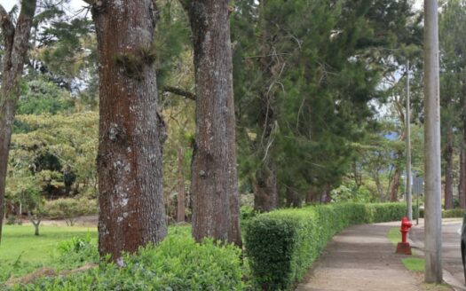 Condominio Arrabará: Venta de Lote en Paraíso de Cartago, Excelente Ubicación. Código 131999