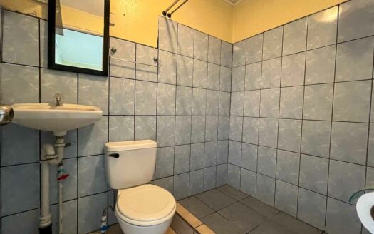 Propiedad mixta de 6 apartamentos en venta en San Rafael Abajo, ideal para inversión con buena rentabilidad COD#141130