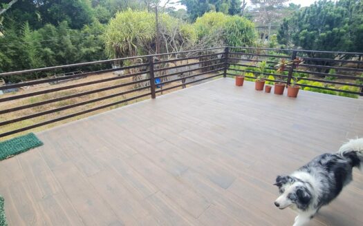 ¡OPORTUNIDAD! Hermosa y Amplia Propiedad Para Alquiler Uso de Suelo Residencial y Comercial Estilo Colonial y Rodeada de Naturaleza a Solo 3 Mins del Centro de Alajuela. COD. 140861