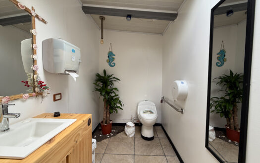 Oportunidad de Propiedad Comercial con Casa, 10 Apartamentos, Cancha de Fut5 y Local, en Llorente de Tibás COD 141181