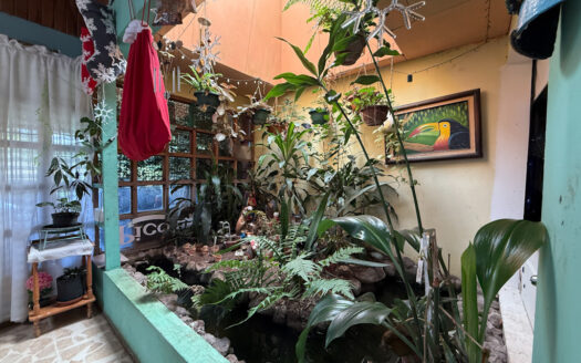 Oportunidad de Propiedad Comercial con Casa, 10 Apartamentos, Cancha de Fut5 y Local, en Llorente de Tibás COD 141181