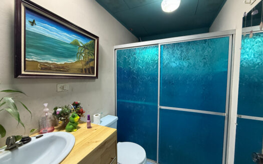 Oportunidad de Propiedad Comercial con Casa, 10 Apartamentos, Cancha de Fut5 y Local, en Llorente de Tibás COD 141181