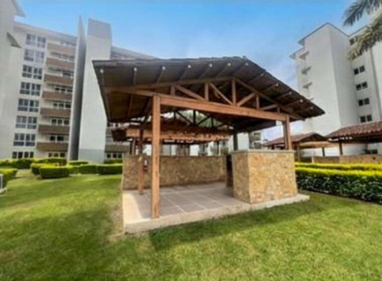 Imagen 5