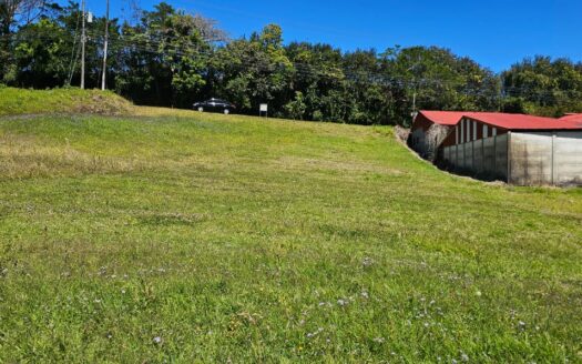 ¡OPORTUNIDAD! Amplio Lote en Venta de 547 m2 en Fraijanes, Poás con Vistas Panorámicas y Uso de Suelo Mixto. 141572