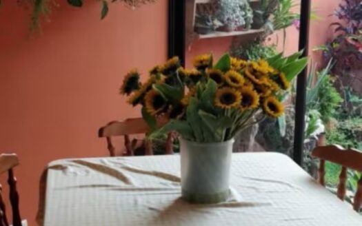 ¡PRECIO DE OPORTUNIDAD! Casa en Venta en Condominio Agua Clara con Dormitorio Principal en Planta Baja. COD. 141604