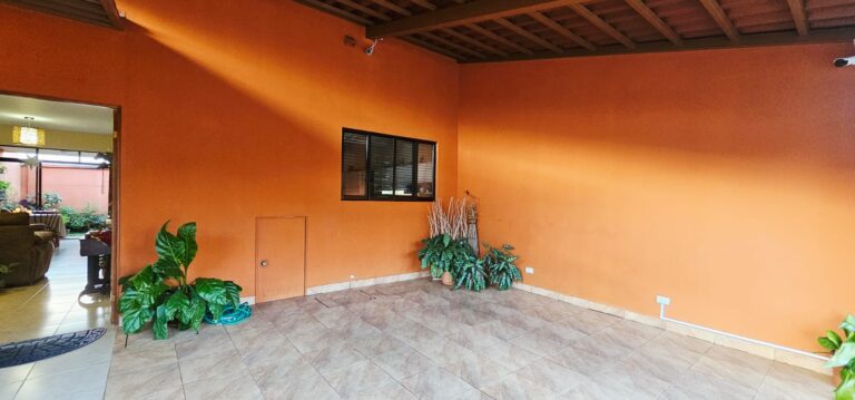 Imagen 5