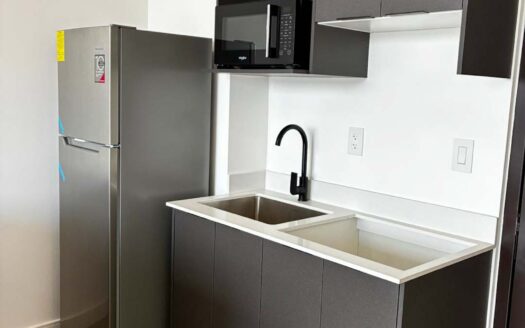 Apartamento En Venta En Barrio Escalante, Piso Alto Con Amenidades Premium cod.141845