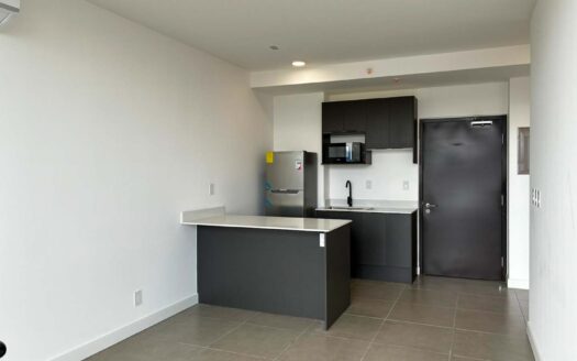 Apartamento En Venta En Barrio Escalante, Piso Alto Con Amenidades Premium cod.141845