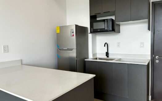 Apartamento En Venta En Barrio Escalante, Piso Alto Con Amenidades Premium cod.141845