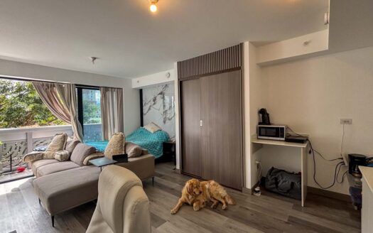 Apartamento Tipo Estudio En Venta En Barrio Escalante Con Balcón Y Vista Al Parque cod.142052