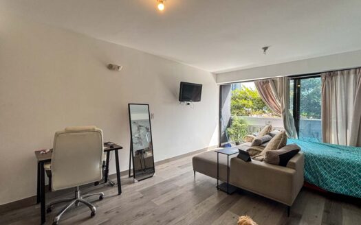 Apartamento Tipo Estudio En Venta En Barrio Escalante Con Balcón Y Vista Al Parque cod.142052