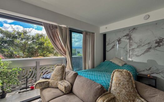 Apartamento Tipo Estudio En Venta En Barrio Escalante Con Balcón Y Vista Al Parque cod.142052