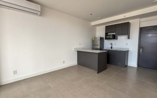 Apartamento En Venta En Barrio Escalante, Piso Alto Con Amenidades Premium cod.141845