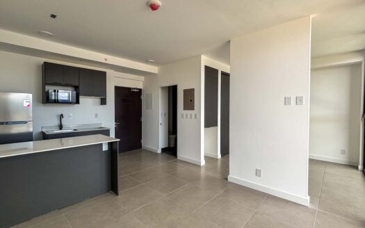 Apartamento En Venta En Barrio Escalante, Piso Alto Con Amenidades Premium cod.141845