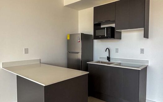 Apartamento En Venta En Barrio Escalante, Piso Alto Con Amenidades Premium cod.141845