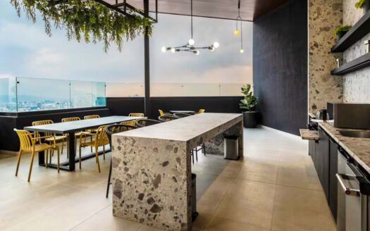 Apartamento Tipo Estudio En Venta En Barrio Escalante Con Balcón Y Vista Al Parque cod.142052