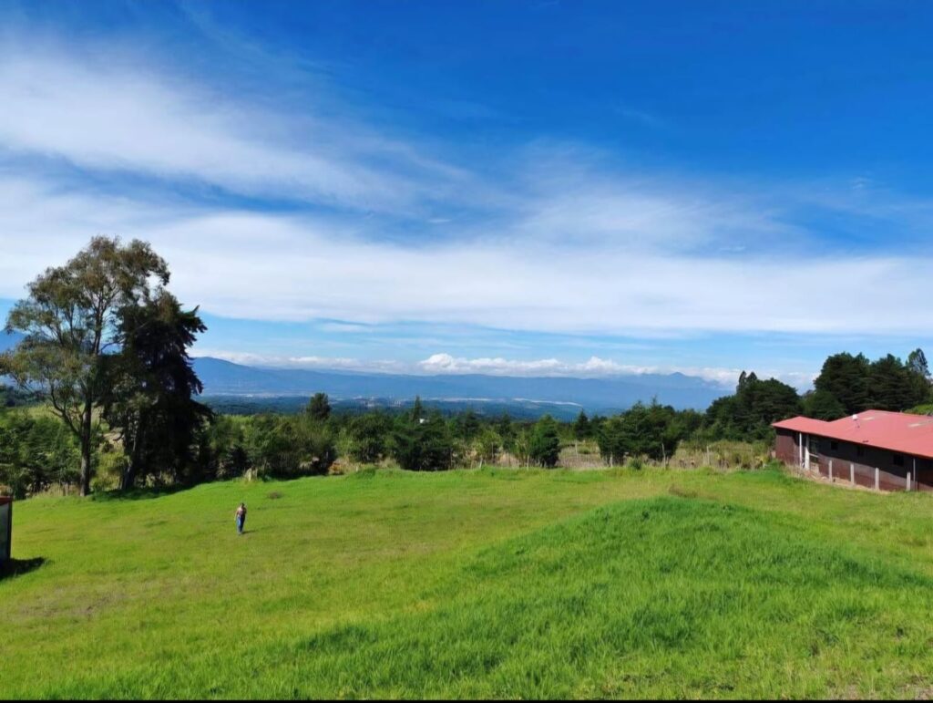 Características de la propiedad