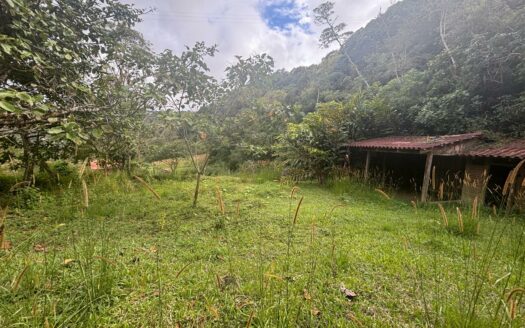 Hermosa Finca para Inversion en la Estrella del Guarco. Cod 141386