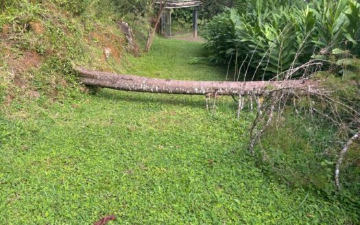 Hermosa Finca para Inversion en la Estrella del Guarco. Cod 141386