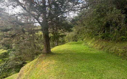 Hermosa Finca para Inversion en la Estrella del Guarco. Cod 141386