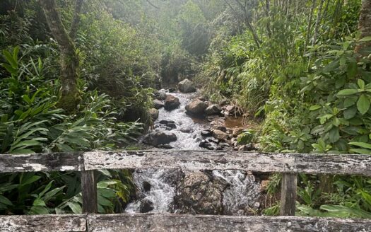 Hermosa Finca para Inversion en la Estrella del Guarco. Cod 141386