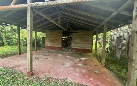 Hermosa Finca para Inversion en la Estrella del Guarco. Cod 141386