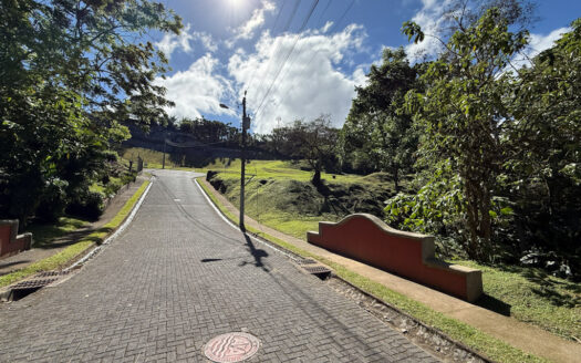 Remate Bancario!!! Últimos Lotes de Oportunidad en el Exclusivo Condominio Majestuosos Prados, Mata de Plátano, Goicoechea COD 142034