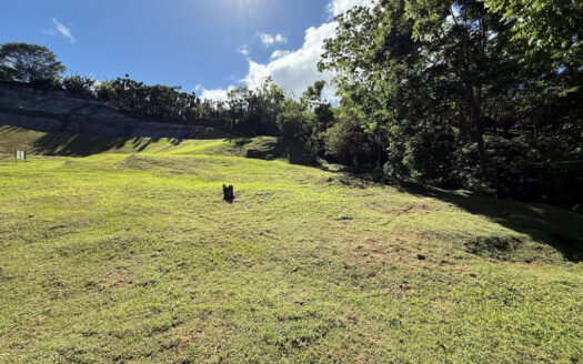 Remate Bancario!!! Últimos Lotes de Oportunidad en el Exclusivo Condominio Majestuosos Prados, Mata de Plátano, Goicoechea COD 142034