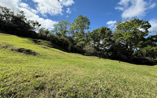 Remate Bancario!!! Últimos Lotes de Oportunidad en el Exclusivo Condominio Majestuosos Prados, Mata de Plátano, Goicoechea COD 142034