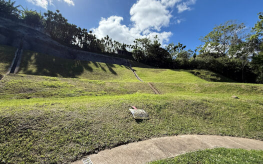 Remate Bancario!!! Últimos Lotes de Oportunidad en el Exclusivo Condominio Majestuosos Prados, Mata de Plátano, Goicoechea COD 142034