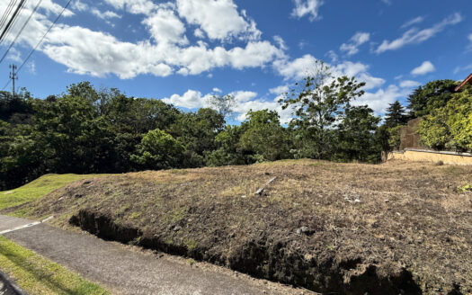 Remate Bancario!!! Últimos Lotes de Oportunidad en el Exclusivo Condominio Majestuosos Prados, Mata de Plátano, Goicoechea COD 142034