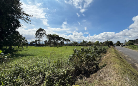 Venta de Terreno de 34.945 m2, Bastante Plano y en la Hermosa Zona Agrícola de Platanares de Moravia COD 141484