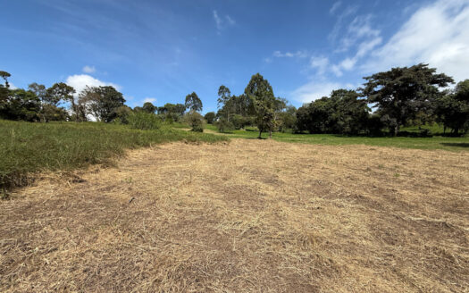 Venta de Terreno de 34.945 m2, Bastante Plano y en la Hermosa Zona Agrícola de Platanares de Moravia COD 141484