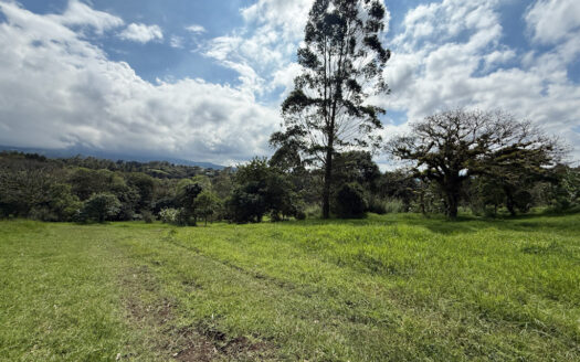 Venta de Terreno de 34.945 m2, Bastante Plano y en la Hermosa Zona Agrícola de Platanares de Moravia COD 141484
