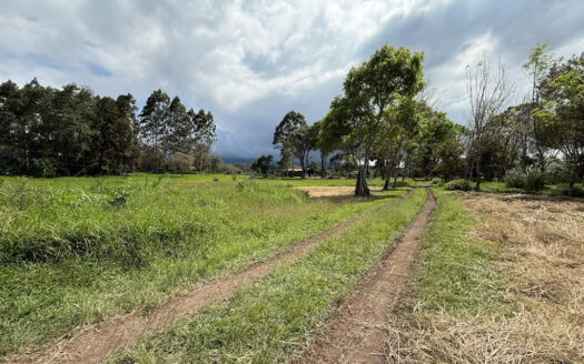 Venta de Terreno de 34.945 m2, Bastante Plano y en la Hermosa Zona Agrícola de Platanares de Moravia COD 141484
