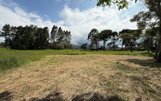 Venta de Terreno de 34.945 m2, Bastante Plano y en la Hermosa Zona Agrícola de Platanares de Moravia COD 141484