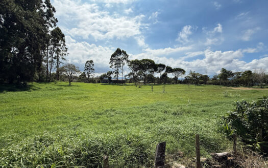 Venta de Terreno de 34.945 m2, Bastante Plano y en la Hermosa Zona Agrícola de Platanares de Moravia COD 141484