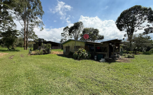 Venta de Terreno de 34.945 m2, Bastante Plano y en la Hermosa Zona Agrícola de Platanares de Moravia COD 141484