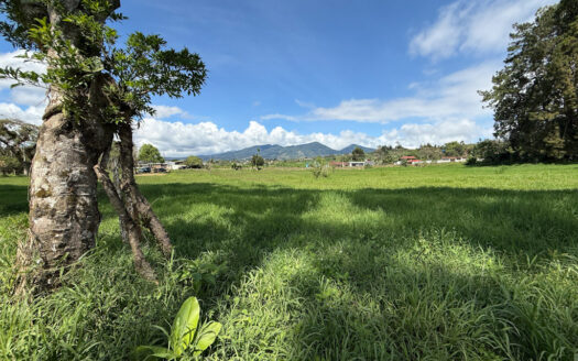 Venta de Terreno de 34.945 m2, Bastante Plano y en la Hermosa Zona Agrícola de Platanares de Moravia COD 141484
