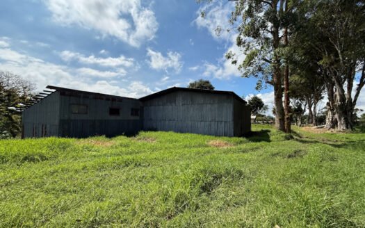 Venta de Terreno de 34.945 m2, Bastante Plano y en la Hermosa Zona Agrícola de Platanares de Moravia COD 141484