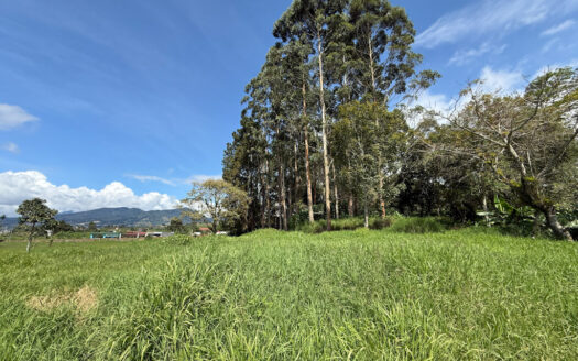 Venta de Terreno de 34.945 m2, Bastante Plano y en la Hermosa Zona Agrícola de Platanares de Moravia COD 141484